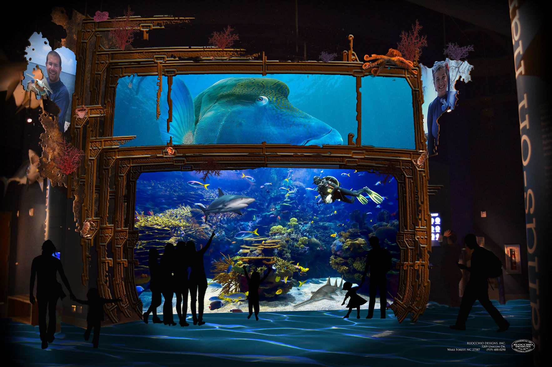Shark Reef 2